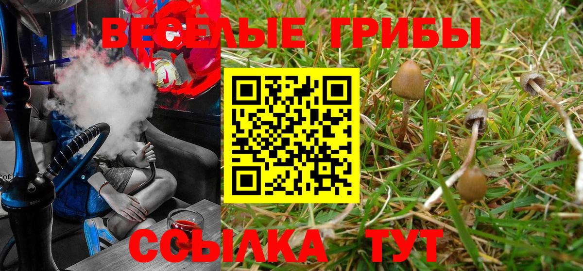 Пенза  Галлюциногенные грибы Magic Shrooms  Вход с VPN 
